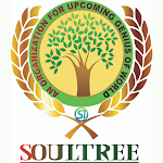 Cover Image of Descargar SOULTREE  APK