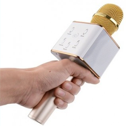 Icon image Karaoke Mikrofon