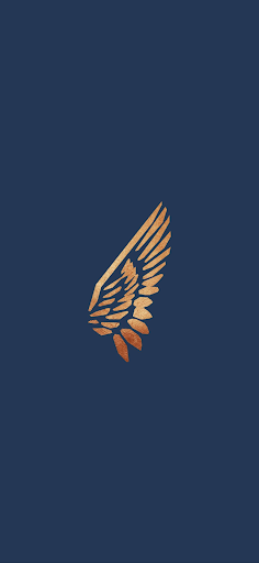 Android application GOSPËL screenshort