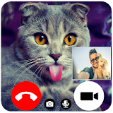 Cat Fake Video Call icon