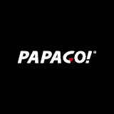 PAPAGO DVR icon