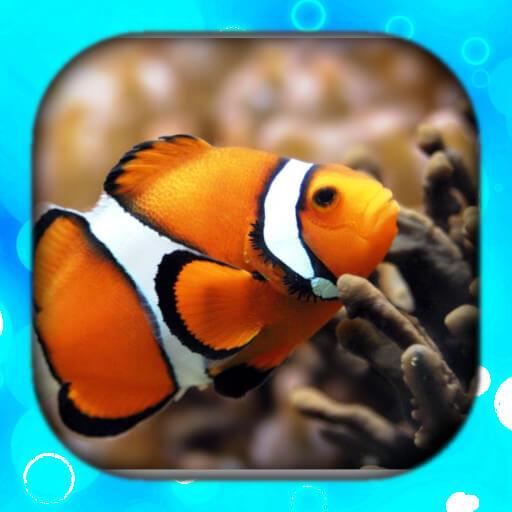 Fish Wallpaper Live HD/3D/4K 4.1.0 Icon