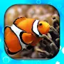 Fish Wallpaper Live HD/3D/4K