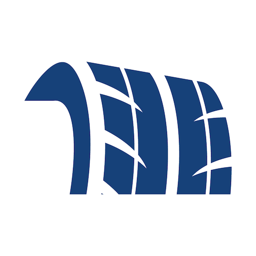 Il Tuo Gommista logo