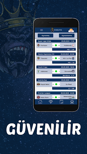 Twelfth Screen 3