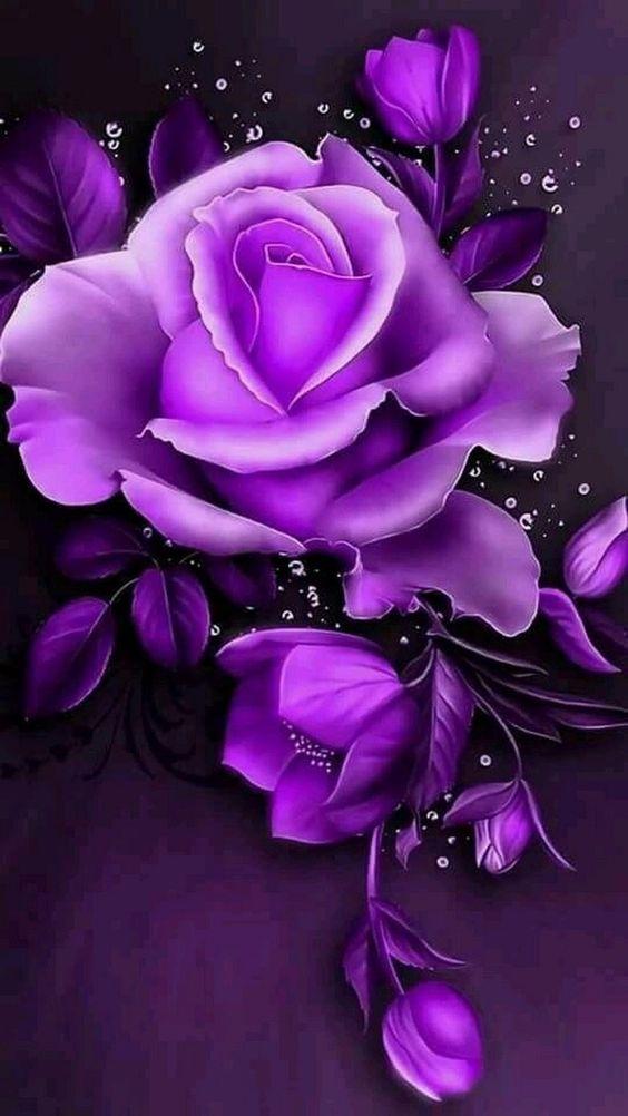 I Love You Flowers Images Gif Rose Hd Wallpapers 5 9 2 Apk Download Com Rose Iloveyou Apk Free I Love You Flowers Images Gif Rose Hd Wallpapers 5 9 2 Apk Download Com Rose Iloveyou Apk Free