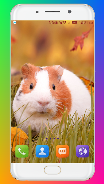 Imágen 5 Guinea Pig Wallpaper android