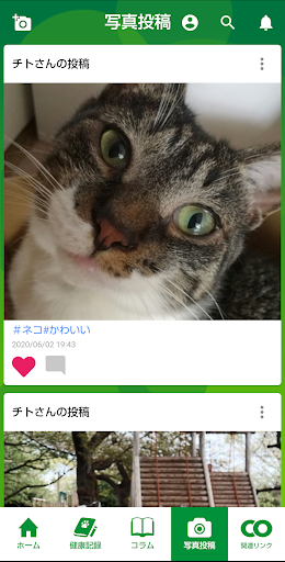 aniLife Screen 3