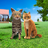 Cat Family Simulator: Life of Wild Cat0.1 (62.9 MB)