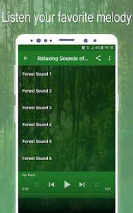 Relaxing Sounds of Forest