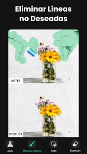 AI Retouch: Eliminar Objetos de las Fotos 5