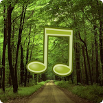 Cover Image of 下载 forest sounds  APK