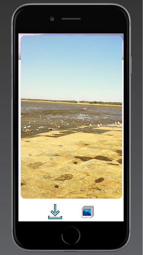 Naturemitra Unique Wallpapers