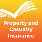 Property & Casualty Insurance icon