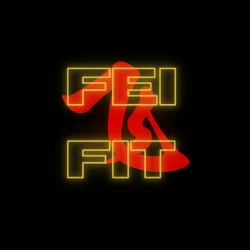 FEI FIT