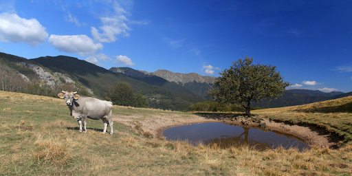 Appennino mappe Screen 3