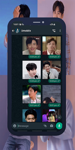 Kim Seon Ho Animated WASticker