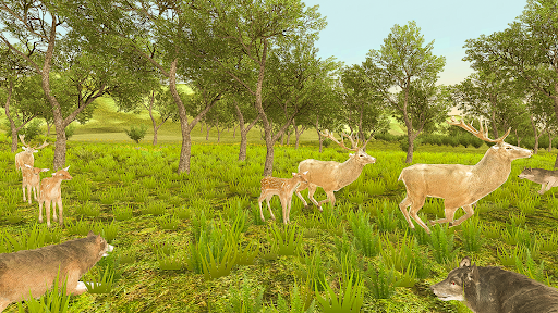 Wild Wolf Animal Simulator Screen 2