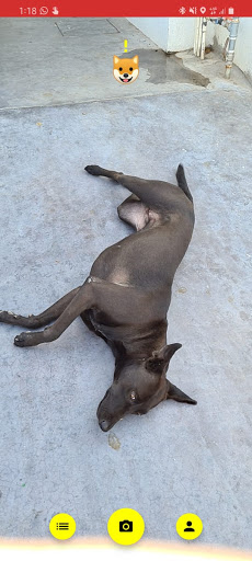 Android application Todogs screenshort