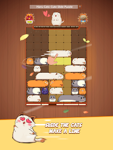 Haru Cats® – Fun Slide Puzzle – Free Flow Zen Game 7