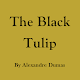 The Black Tulip - eBook Windows'ta İndir