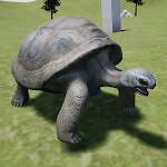 Galapagos Turtle Simulator