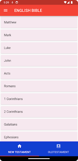 English Bible Screen 2
