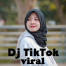 Get Dj TikTok Viral Offline for Android Aso Report