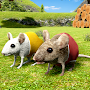 Mouse Simulator: Rat Family