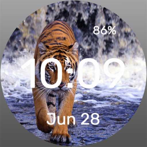 Wet Cat - Watch Face Скачать для Windows