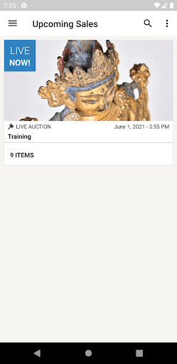 Android application Stunning Arts Auction Mobile screenshort