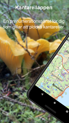 Android application Kantarellappen screenshort