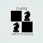 Chess Mate Puzzle
