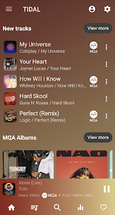 USB Audio Player PRO APK [PAID] 6.0.7.8 For Android 5