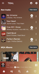 USB Audio Player PRO MOD APK v6.0.8.2 [Premium Unlocked] 5