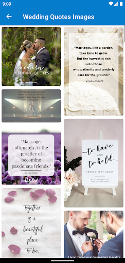 Wedding Sayings and Quotes Screen 2