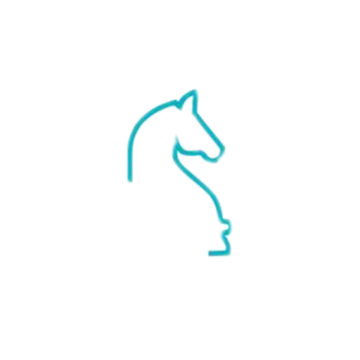 Chess Master Class logo