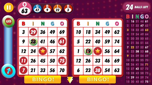 Bingo Classic Game - Offline Free 2.6 screenshots 2