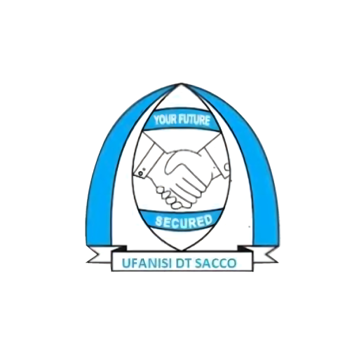 Ufanisi DT Sacco 1.0.0 Icon