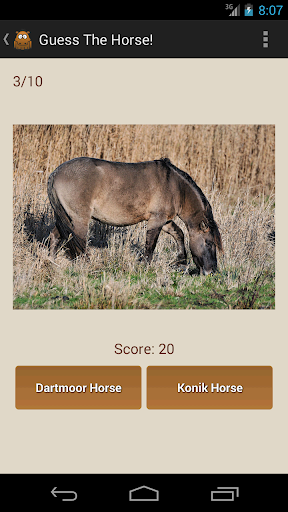 Guess The Horse! Screen 3