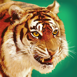 Talking Tiger: Download & Review
