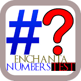 Enchanta Numbers Test icon