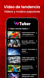 Reproductor de Vídeo - wTuber