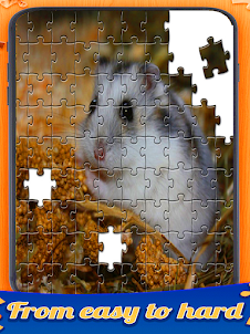 Hamster jigsaw match puzzle
