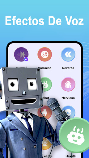 Vista previa de la aplicación