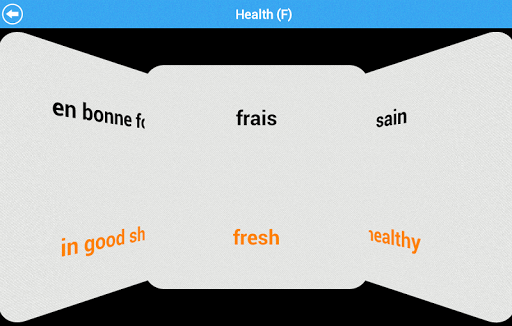 GCSE French Vocab - AQA Lite