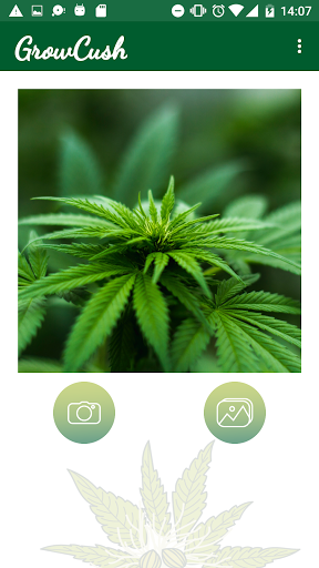 Android application GrowCush - Cannabis detection screenshort