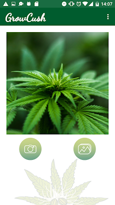 GrowCush - Cannabis deficiency detectionのおすすめ画像1