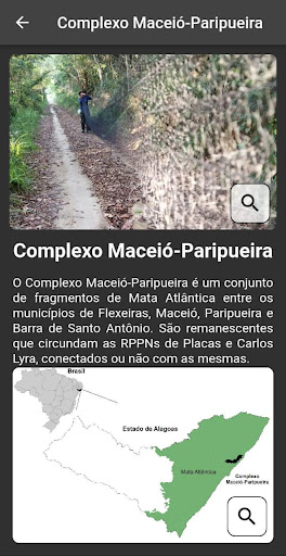 Morcegos de Alagoas Screen 3