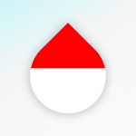 Cover Image of Download Drops: Learn Indonesian language for free! 35.40 APK
